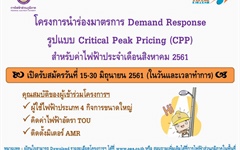 โครงการนำร่องมาตรการ Demand Response รูปแบบ Critical Peak Pricing (CCP)