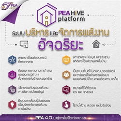 PEA HIVE platform