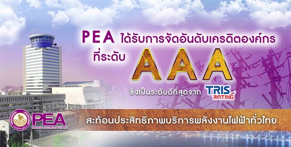 PEA AFFIRMED "AAA" IN COMPANY RATING BY TRIS