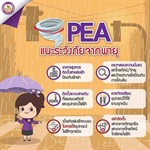 การไฟฟ้าส่วนภูมิภาค (PEA) เตือนประชาชนในพื้นที่เสี่ยงเกิดพายุฤดูร้อน