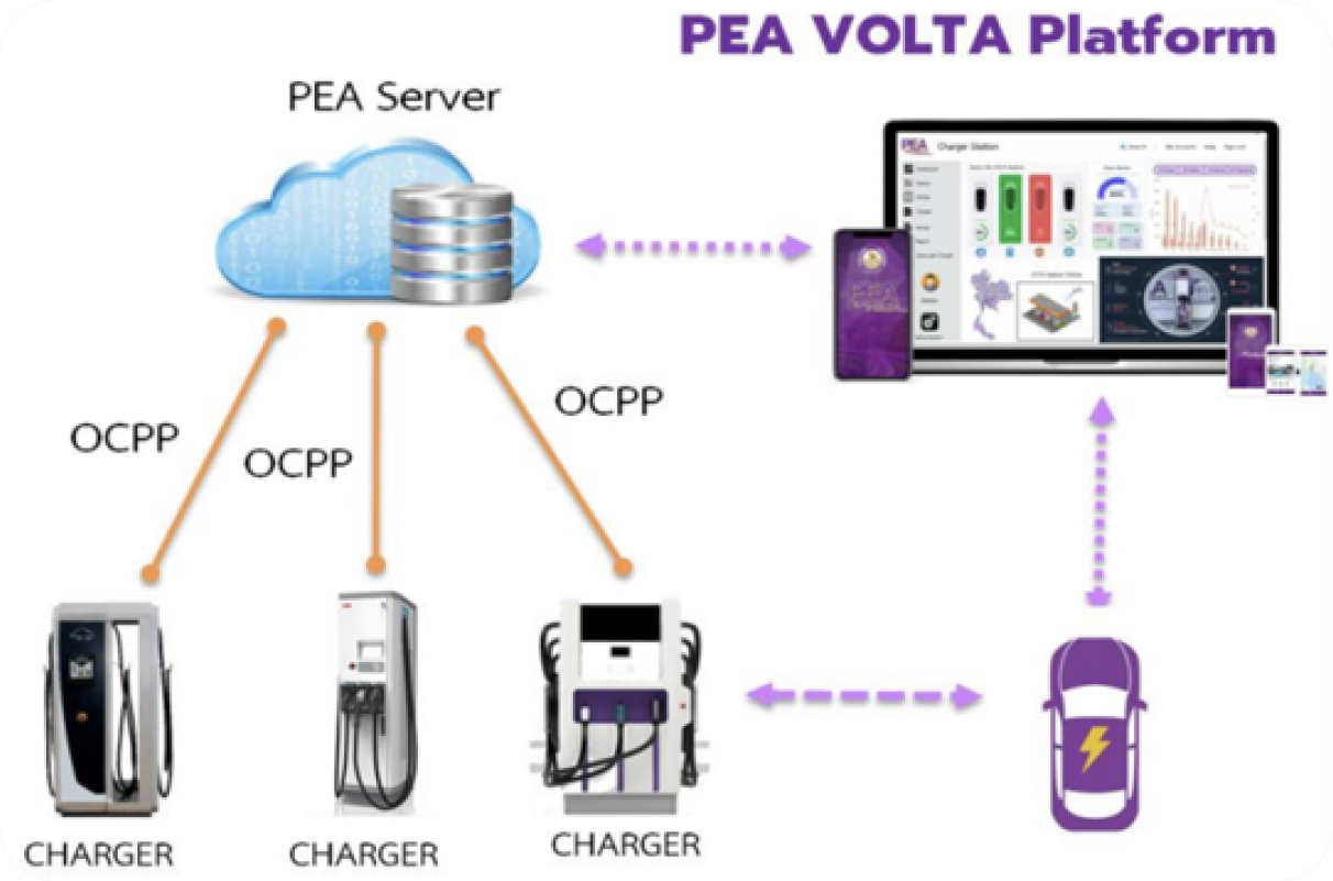 PEA VOLTA Platform