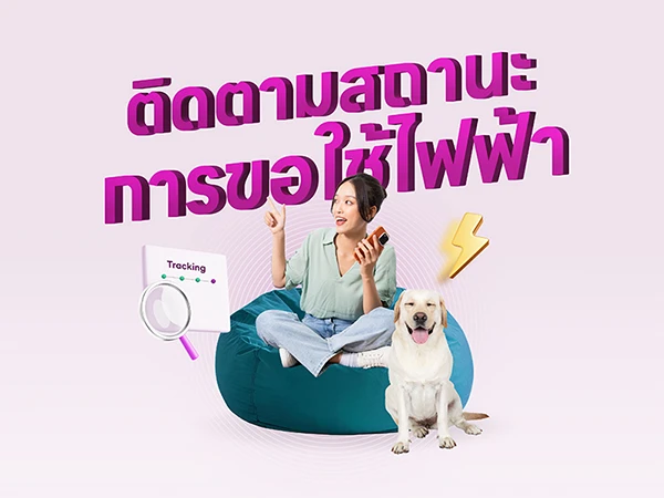 ดูประวัติการใช้ไฟฟ้า