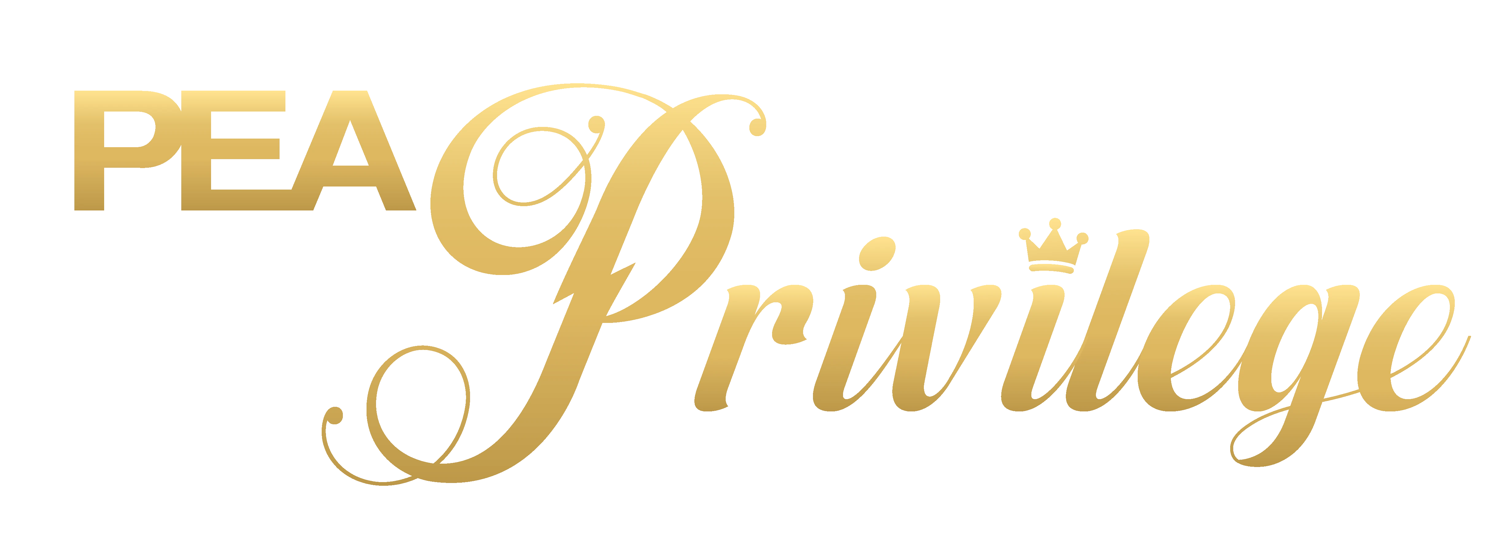 privillege banner