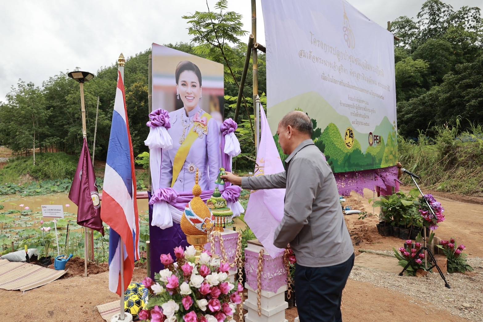 โครงการ PEA ปลูก ดูแล รักษ์ป่า 1