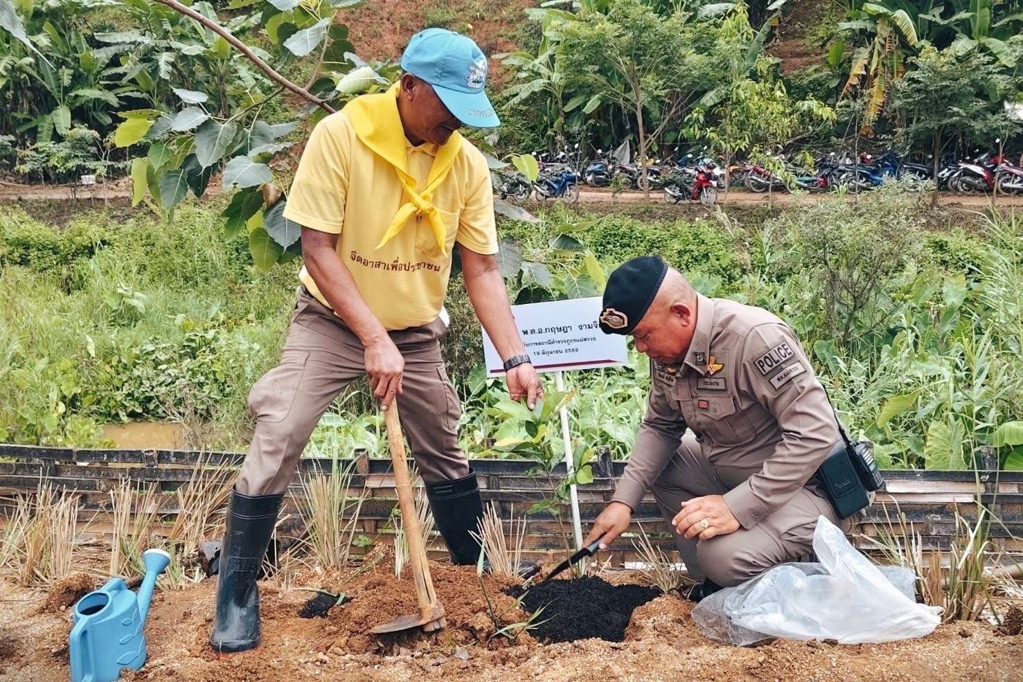 โครงการ PEA ปลูก ดูแล รักษ์ป่า 4