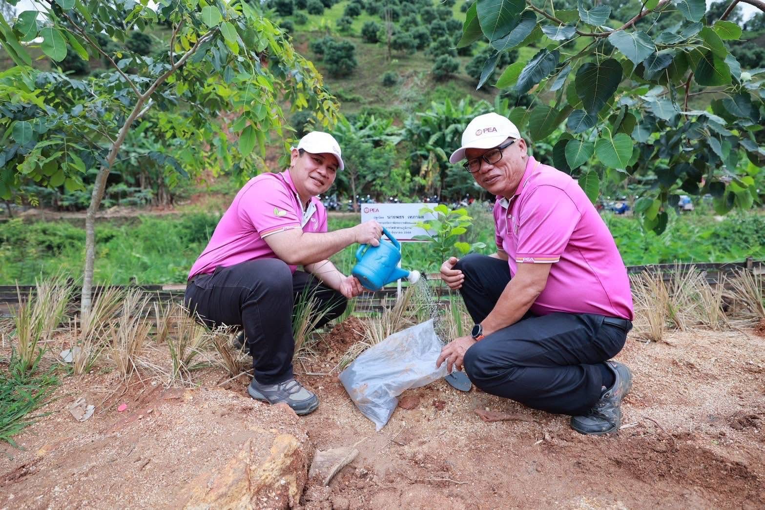 โครงการ PEA ปลูก ดูแล รักษ์ป่า 5