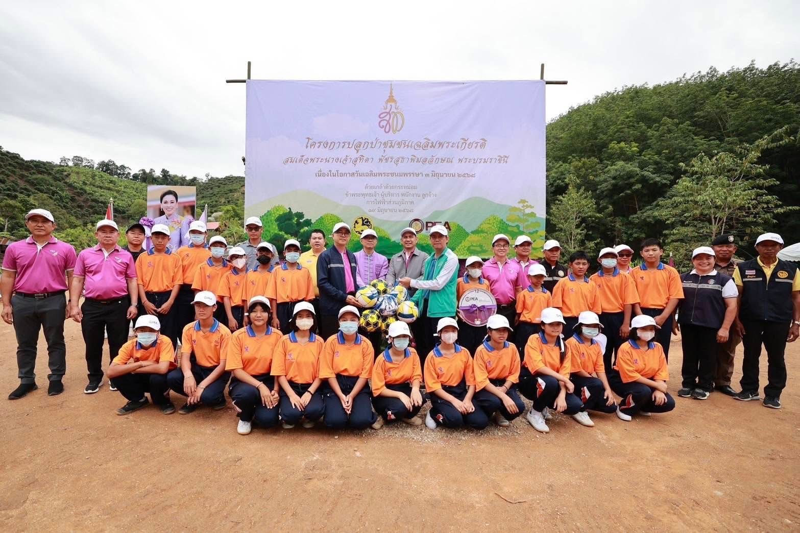 โครงการ PEA ปลูก ดูแล รักษ์ป่า 7