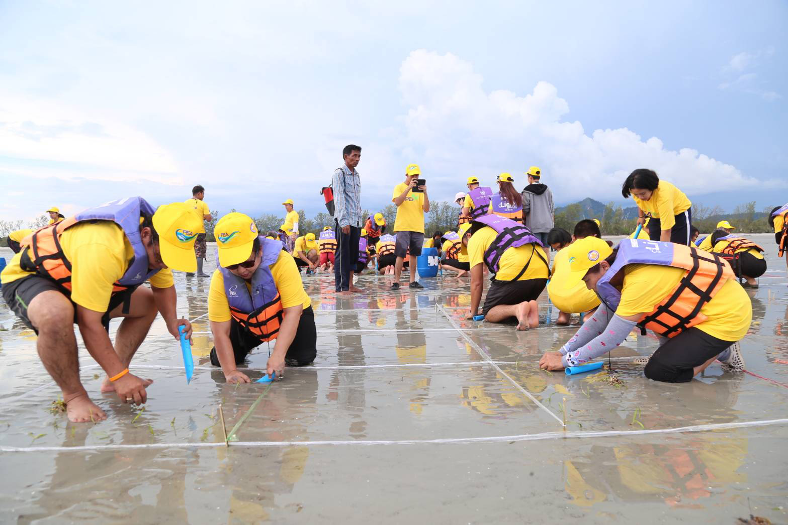 โครงการคนพันธุ์ PEA ฟื้นฟูทะเลไทย (กิจกรรมหญ้าทะเล)