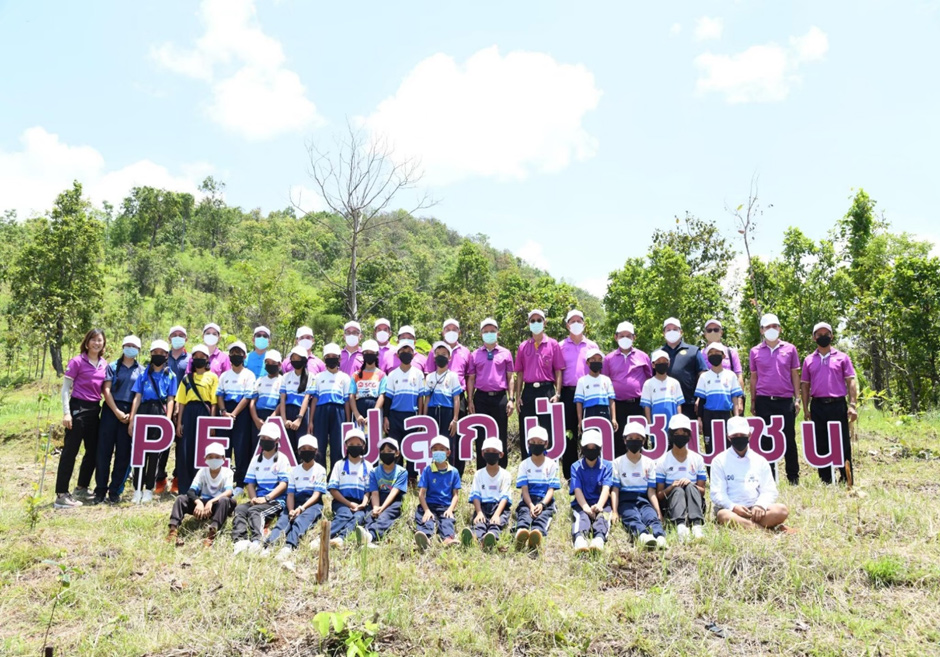 โครงการ PEA Go Green