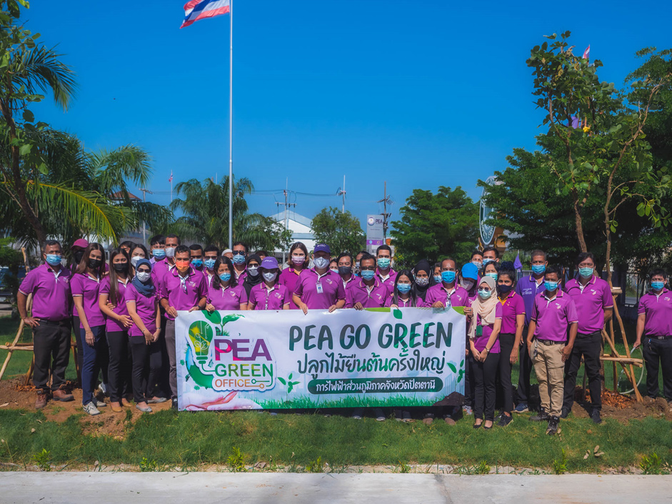 โครงการ PEA Go Green