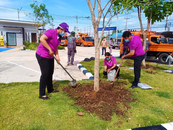 โครงการ PEA Go Green