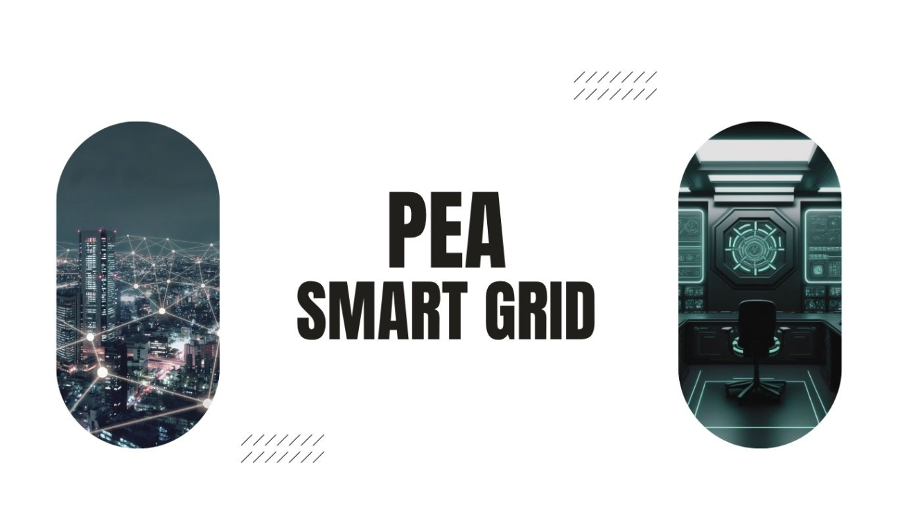 smart grid