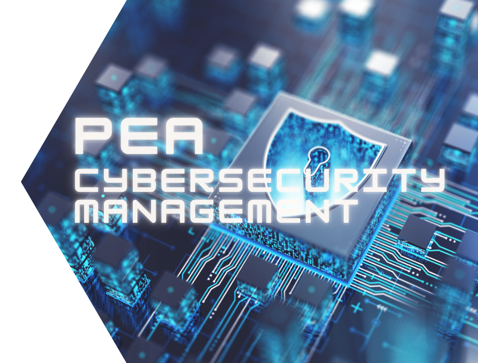 cypersecurity management