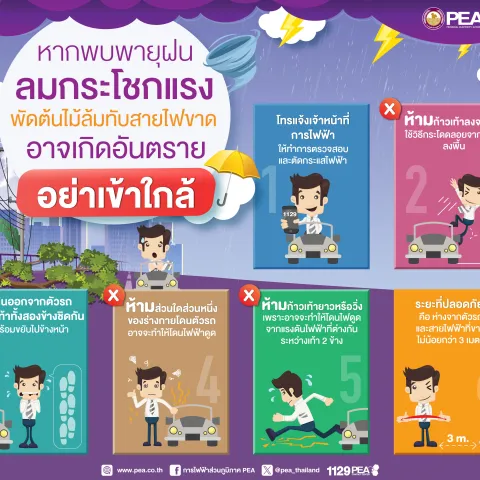 การไฟฟ้าส่วนภูมิภาค เตือนอันตรายเกี่ยวกับการใช้ไฟฟ้ากรณีเกิดพายุฝน ลมกระโชกแรง