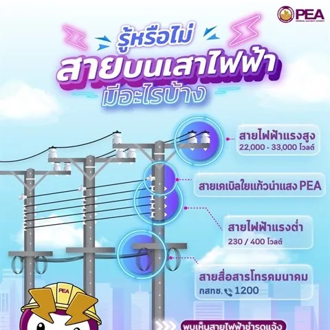 PEA แนะนำสายบนเสาไฟฟ้า มีอะไรบ้าง