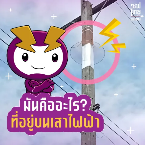 อะไรอยู่บนเสาไฟ