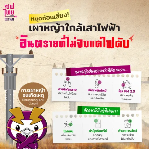 เผาหญ้าใกล้เสาไฟฟ้า อันตรายที่ไม่จบแค่ไฟดับ