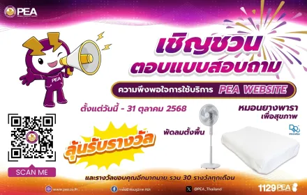 แบบสอบถามความพึงพอใจในการใช้บริการเว็บไซต์ PEA