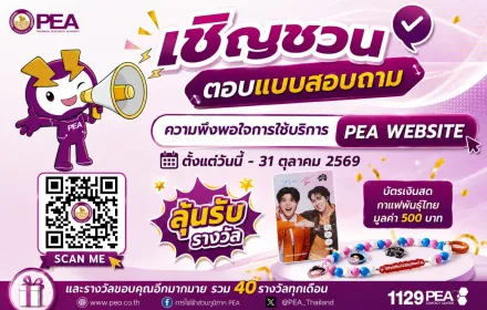แบบสอบถามการใช้บริการ PEA Website