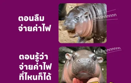 จ่ายค่าไฟผ่านแอป PEA Smart Plus