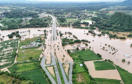 PEA เร่งดำเนินการซ่อมแซมระบบจำหน่ายให้ผู้ใช้ไฟได้มีไฟฟ้าใช้แล้วเกือบ 100%