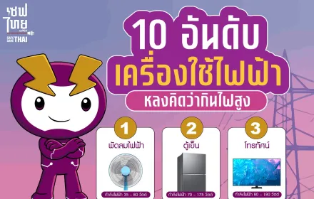 เครื่องใช้ไฟฟ้ากินไฟสูง