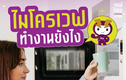 ไมโครเวฟ