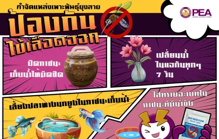 กำจัดแหล่งเพาะพันธุ์ยุงลาย