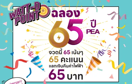 65PEA facebook