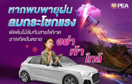 การไฟฟ้าส่วนภูมิภาค เตือนอันตรายเกี่ยวกับการใช้ไฟฟ้ากรณีเกิดพายุฝน ลมกระโชกแรง