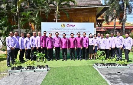PEA จัดกิจกรรม วันรักต้นไม้ประจำปีของชาติ พ.ศ. 2568