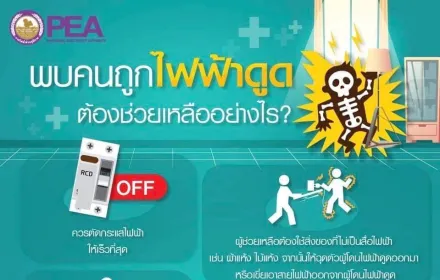 PEA แนะนำพบคนถูกไฟฟ้าดูดต้องทำอย่างไร