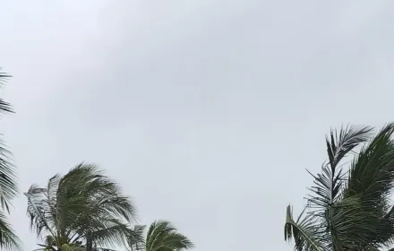 PEA สาขาระโนด เร่งฟื้นฟูระบบจำหน่ายจากเหตุพายุหมุน