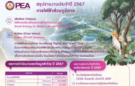 สรุปรายงานประจำปี 2567