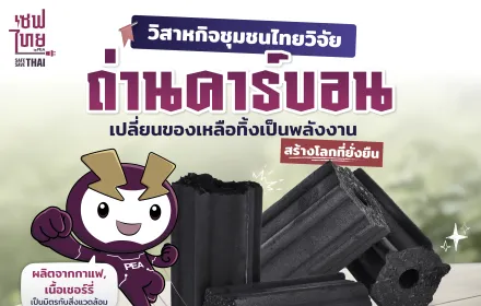 ถ่านคาร์บอน