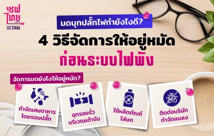 มดบุกปลั๊กไฟทำยังไงดี