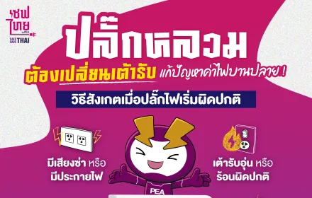 ปลั๊กหลวม