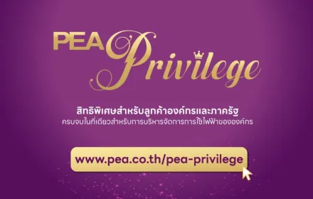 PEA Privilege มอบสิทธิพิเศษสำหรับลูกค้าองค์กรและภาครัฐ ครบจบในที่เดียวเพื่อการบริหารจัดการการใช้ไฟฟ้าอย่างมีประสิทธิภาพ