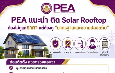 Pea solar