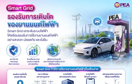 Smartgrid