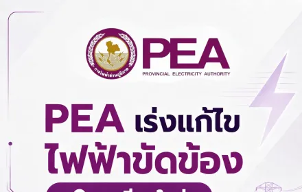 PEA เร่งแก้ไขระบบไฟฟ้าหลังพายุและลมกระโชกแรงในพื้นที่จังหวัดเชียงใหม่