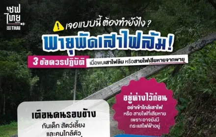 เสาไฟล้ม