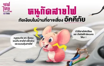 หนูกัดสายไฟ