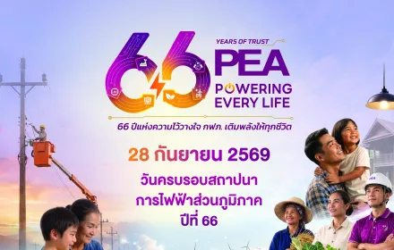 66