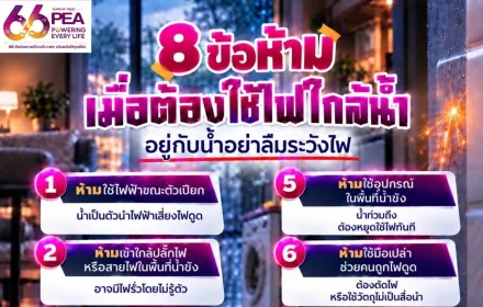🌊⚡ PEA ห่วงใยทุกชีวิต เตือนระวังไฟฟ้าในพื้นที่น้ำท่วม พร้อมดูแลประชาชนตลอด 24 ชั่วโมง