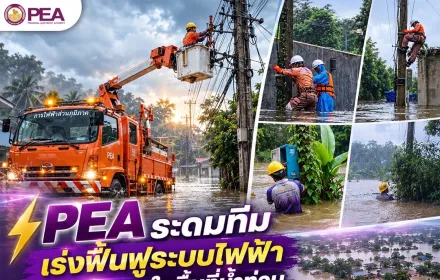 ⚡ PEA ระดมทีม เร่งฟื้นฟูระบบไฟฟ้าในพื้นที่น้ำท่วม