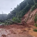 PEA เร่งดำเนินการซ่อมแซมระบบจำหน่ายให้ผู้ใช้ไฟได้มีไฟฟ้าใช้แล้วเกือบ 100%