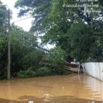 PEA เร่งดำเนินการซ่อมแซมระบบจำหน่ายให้ผู้ใช้ไฟได้มีไฟฟ้าใช้แล้วเกือบ 100%