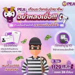 PEA เตือนระวังกลุ่มมิจฉาชีพ แอบอ้างเป็นเจ้าหน้าที่การไฟฟ้าส่วนภูมิภาค