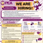 📣📣 พร้อมเป็นส่วนหนึ่งในทีมพัฒนาธุรกิจใหม่ของ PEA กันหรือยัง 💡💡  เปิดรับสมัครบุคคลภายนอก 2 ตำแหน่ง